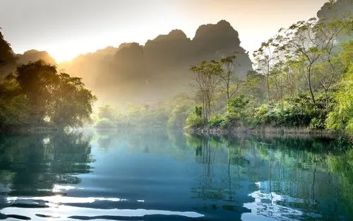 可靠性全自动可靠性